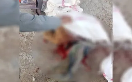 خلاف بين شقيقين في ريف الشدادي ينتهي بمقتل أحدهما
