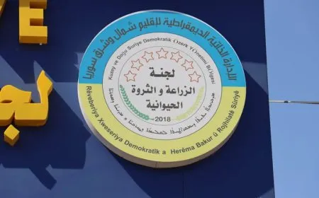 لجنة الزراعة تحدد سعر بذار القمح المعقم للموسم الجديد