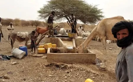 موريتانيا تسجل أول حالة وفاة بحمى الوادي المتصدع