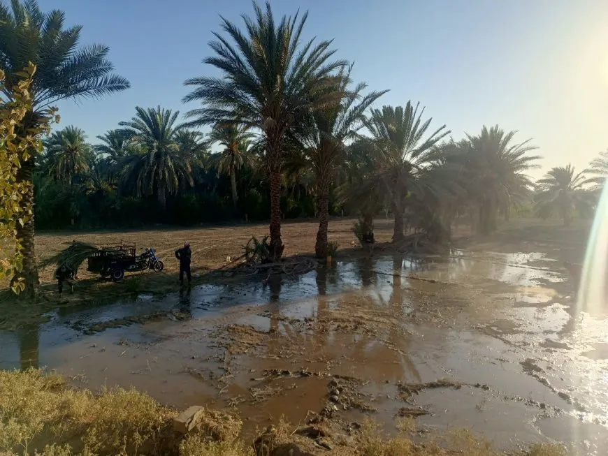 دير الزور تتحضر لمهرجان النخيل الرابع