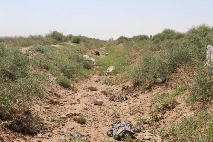 الزراعة تُحتضر على ضفاف الفرات نتيجة النقص الحاد في الوارد المائي 