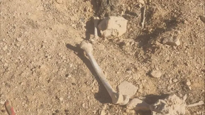 العثور على بقايا رفات شخص بريف حمص