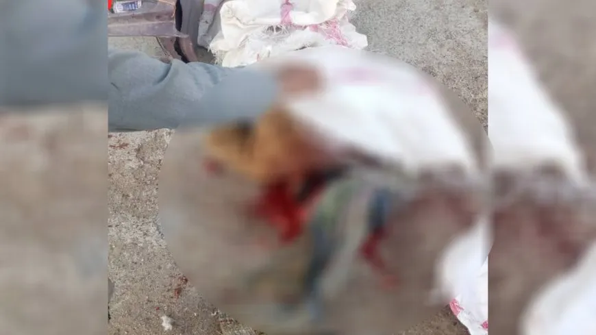 خلاف بين شقيقين في ريف الشدادي ينتهي بمقتل أحدهما