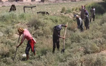 مبادرة شعبية لتنظيف قنوات الري وتأهيل الطرق الزراعية في مقاطعة دير الزور