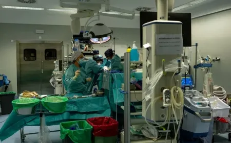 نجاح أول عملية لزراعة كبد خنزير في جسم إنسان بالعالم