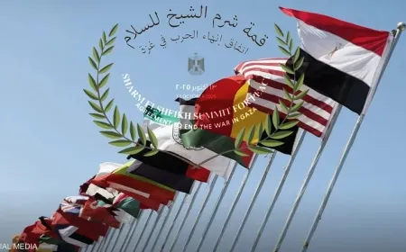 مصر تستضيف غداً قمة دولية بمشاركة قادة من 20 دولة