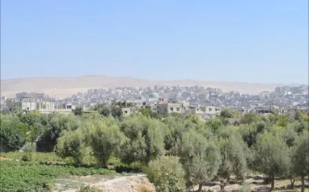 مقتل شاب وإصابة طفل في هجوم مسلح بريف دمشق