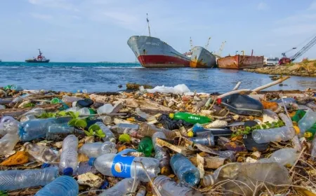 البلاستيك يلتهم الكوكب.. إنتاج عالمي سنوي يتجاوز 400 مليون طن