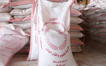 توزيع أكثر من 850 طناً من البذار على مزارعي الحسكة