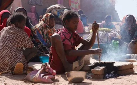 الامم المتحدة والصليب الأحمر ينددان بالفظائع في الفاشر بالسودان