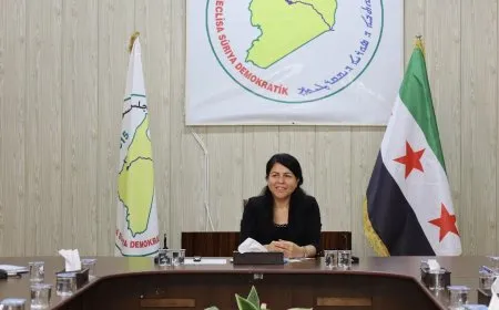 الرئيسة المشتركة لمسد: ما يتعرض له أهالي عفرين انتهاك صارخ لكل المواثيق الدولية