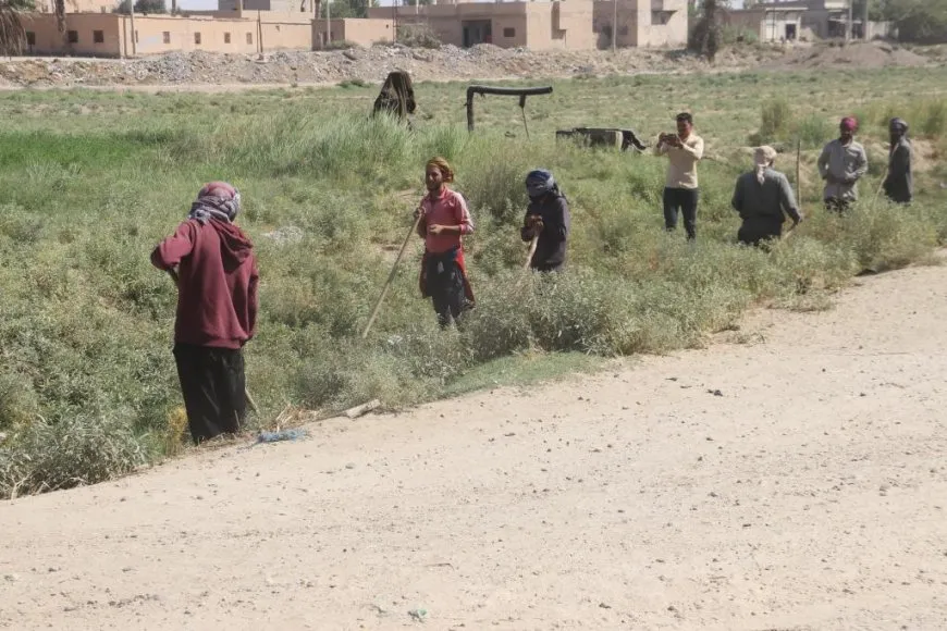مبادرة شعبية لتنظيف قنوات الري وتأهيل الطرق الزراعية في مقاطعة دير الزور