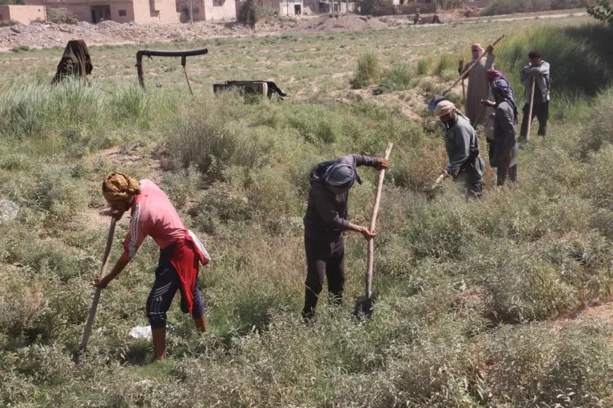 مبادرة شعبية لتنظيف قنوات الري وتأهيل الطرق الزراعية في مقاطعة دير الزور