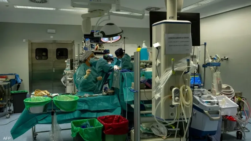 نجاح أول عملية لزراعة كبد خنزير في جسم إنسان بالعالم