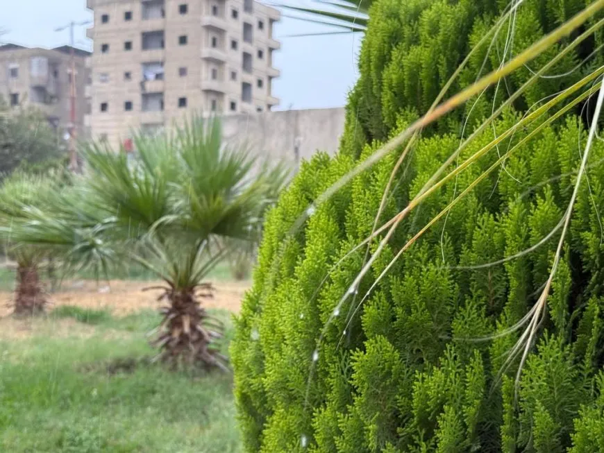 هطول أول زخات المطر في إقليم شمال وشرق سوريا