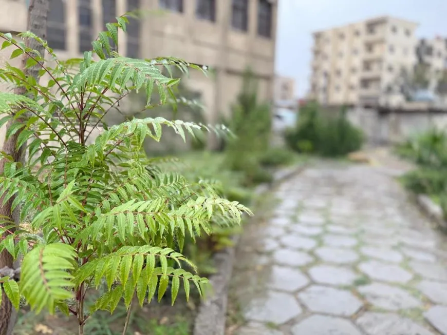 هطول أول زخات المطر في إقليم شمال وشرق سوريا