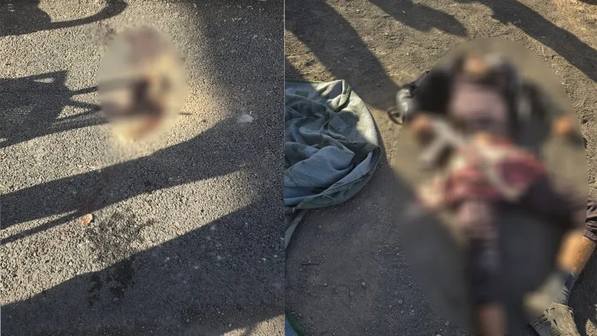 فقدان مدنيينِ لحياتهما في هجوم مسلح على حاجز شرق الرقة