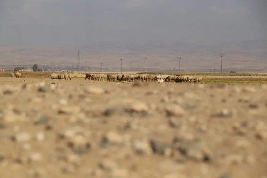 ريف عامودا.. هدوء في قلب الجزيرة