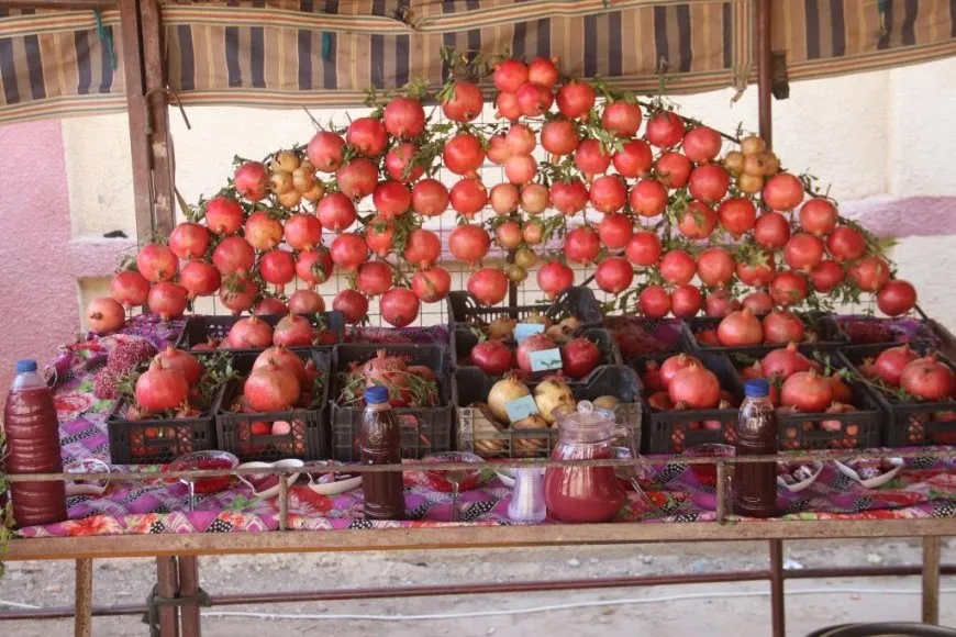 انطلاق مهرجان الرمان الخامس في ريف دير الزور
