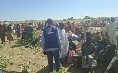 نزوح أكثر من 36 ألف مدني من ولاية كردفان السودانية
