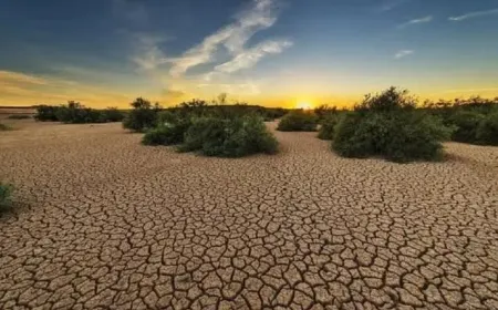 تحذيرات من تضرر 1,7 مليار شخص من تدهور الأراضي جراء أنشطة مضرة بالبيئة