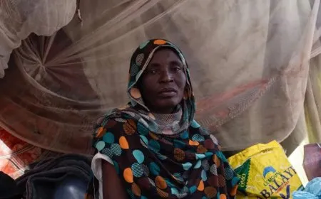 السودان: أكثر من 150 امرأة من الفاشر تعرّضن للاغتصاب والتحرش خلال الفرار من دارفور
