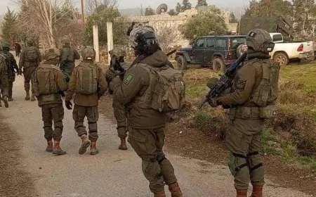 القوات الإسرائيلية تنفذ عملية تفتيش في ريف درعا الغربي