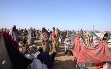 الأمم المتحدة: نساء دارفور يبلّغن عن اغتصاب وقتل وخطف أطفالهن