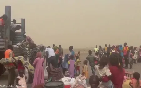 السودان: ملفات انتهاكات الفاشر تصل المحكمة الجنائية الدولية