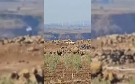 جنود يرفعون علم إسرائيل غرب درعا