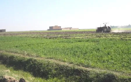 البدء بزارعة الموسم الشتوي في دير الزور وإشادة بالدعم المبكر