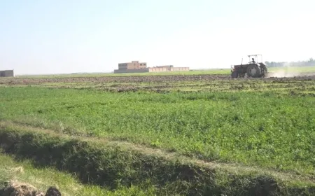 البدء بزارعة الموسم الشتوي في دير الزور وإشادة بالدعم المبكر