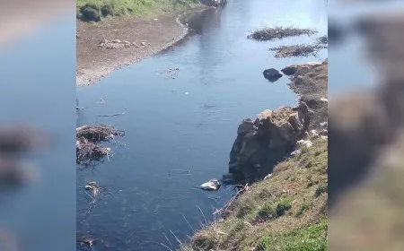 صحة الأطفال وأرزاق المزارعين.. ضحايا إهمال نهر الساروت في حماة