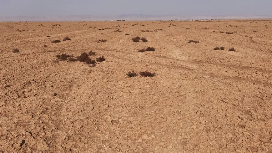 حالة من القلق والترقب يعيشها المزارعون مع تأخر هطول الأمطار