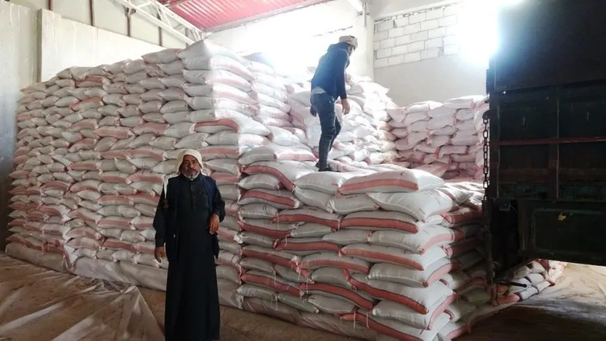 مزارعو عين عيسى يشتكون من قلة كميات البذور الممنوحة لهم