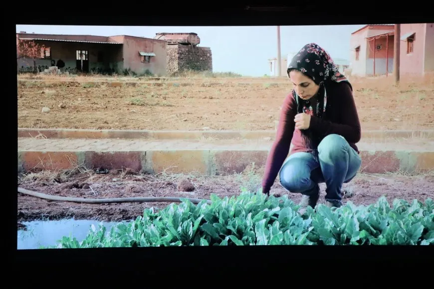 مهرجان روج آفا الدولي للأفلام يختتم فعالياته بمشاركة دولية واسعة