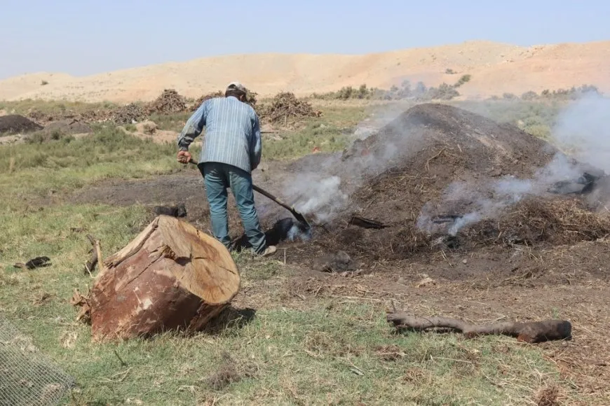 صناعة الفحم في الرقة مهنة جديدة تحقق الاكتفاء المحلي
