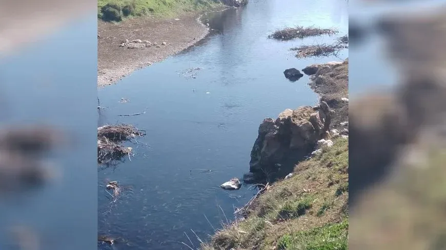 صحة الأطفال وأرزاق المزارعين.. ضحايا إهمال نهر الساروت في حماة