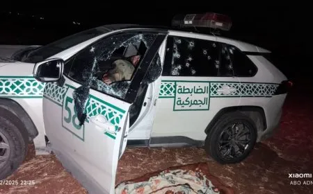 مقتل عنصرين من الضابطة الجمركية في كمين بريف حلب