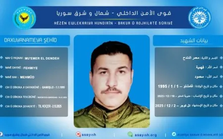 قوى الأمن الداخلي تكشف سجل أحد أعضائها