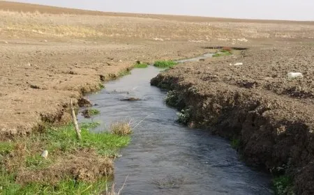 طقس غير مستقر وأمطار متفرقة تمهيداً لمنخفض جوي مساء السبت