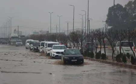 أمطار غزيرة تعيد الحياة إلى الجزيرة بعد طول انتظار