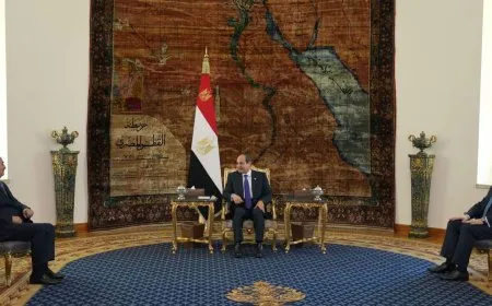 السيسي يدعو لإخراج القوات الأجنبية والمرتزقة من ليبيا