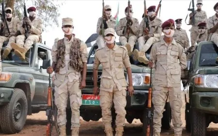 الدعم السريع ينفي استهداف مقر أممي في كادوقلي 