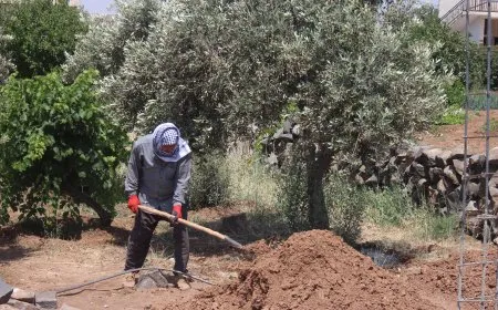 مشاهد من الحياة الريفية في مقاطعة الجزيرة