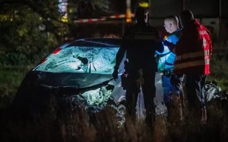 إصابة 9 أشخاص جراء حادث دهس استهدف حشداً في هولندا