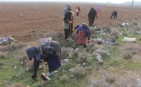 بلدية الشعب في الحسكة تقوم بأعمال نظافة في بلدة صفيا 