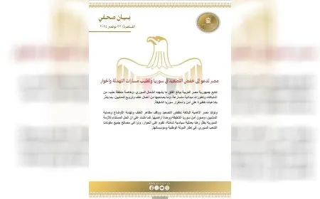 مصر تدعو إلى خفض التصعيد في سوريا وتغليب مسارات التهدئة والحوار