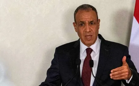 مصر تطالب بجلسة طارئة للاتحاد الإفريقي رفضاً للاعتراف الإسرائيلي بأرض الصومال