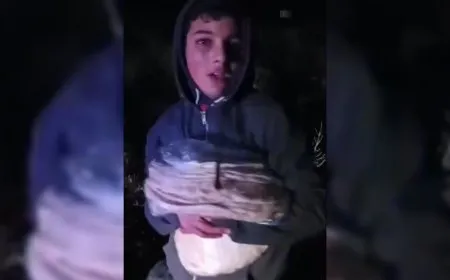 تعرّض طفل للاعتداء بالضرب والإهانة على يد شبان في اللاذقية